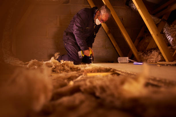 Best Wall Insulation Contractor  in Quartz Hill, CA